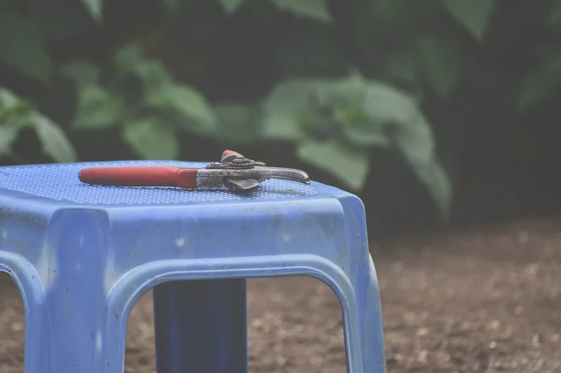Les critères pour choisir le meilleur sécateur de jardin