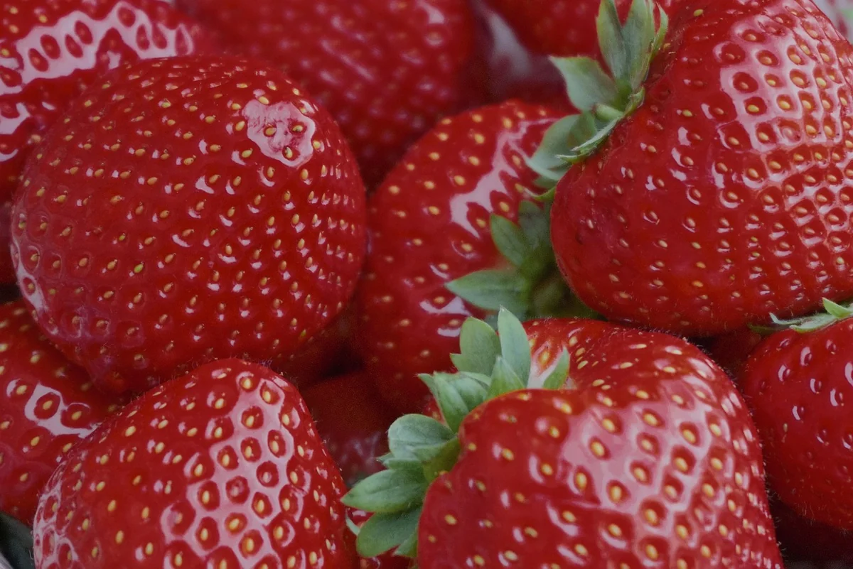 Ce que la fraise est vraiment (et pourquoi c'est contre-intuitif)