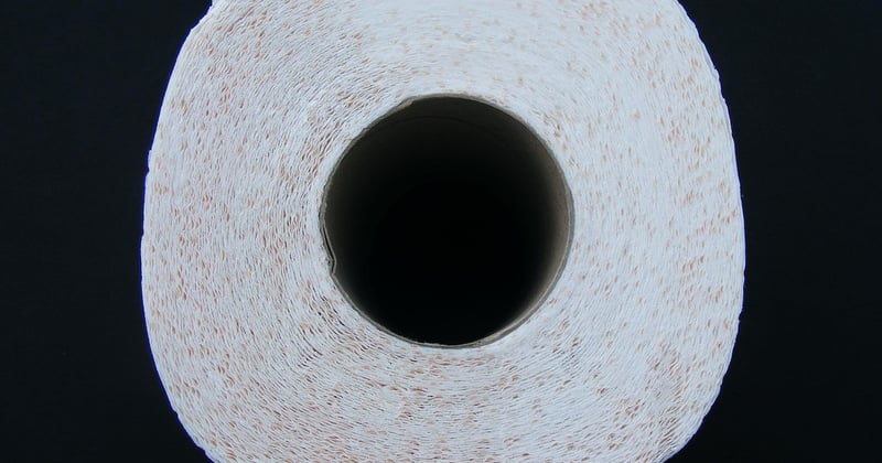 Comment se débarrasser des vers dans les toilettes : solutions efficaces