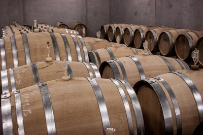 Prix cave à vin sur mesure sous escalier : guide complet 2026
