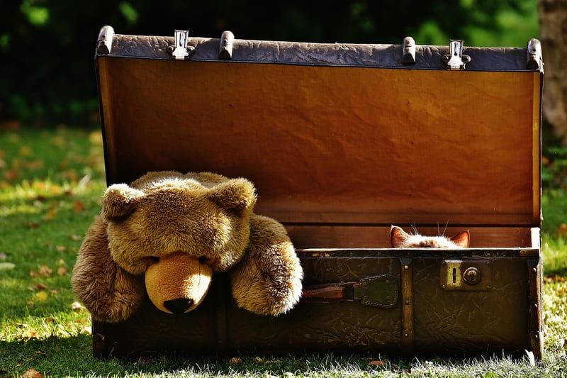 Découvrez l'urne mariage valise tendance pour un mariage unique en 2026