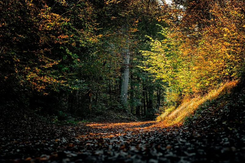 Couleurs et lumières : les pièges que j'ai évités (de justesse)