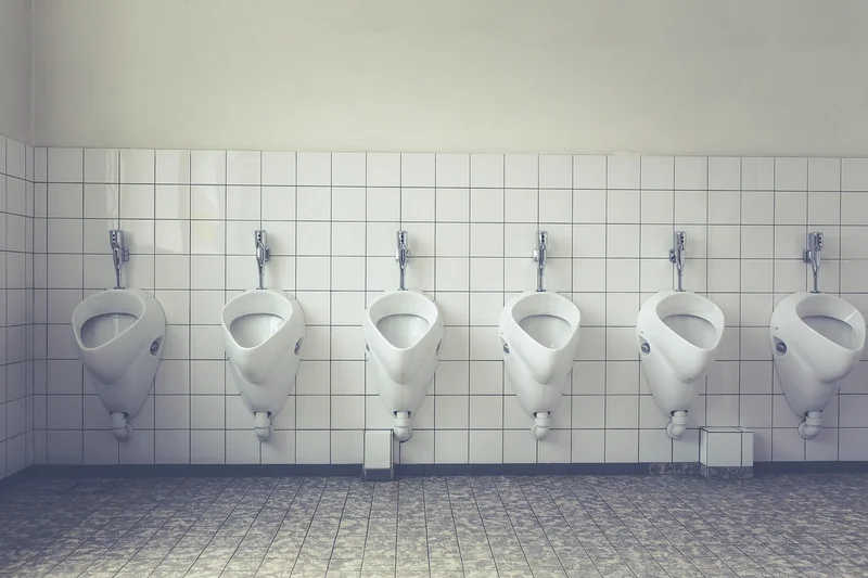 Quelles sont les causes des vers dans les toilettes ?