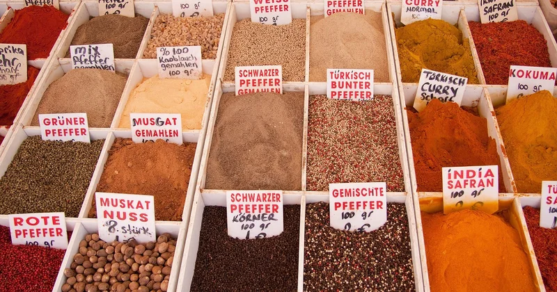 Combien coûte un traitement contre les blattes ?