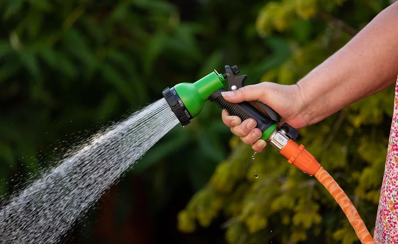 Est-ce que le laurier-rose a besoin de beaucoup d’eau ?