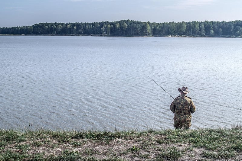 Astuces 2026 pour un camouflage piscine tubulaire élégant et discret dans votre jardin