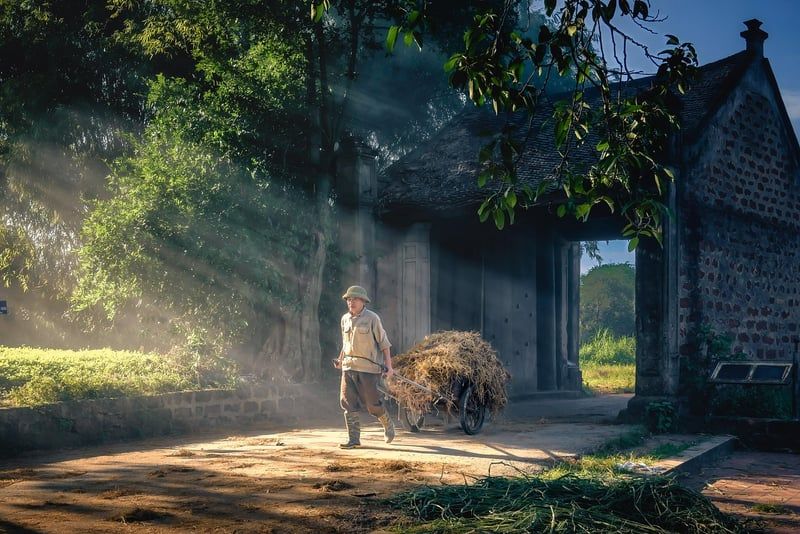 Découvrez la porte hangar agricole coulissante idéale en 2026 pour votre ferme