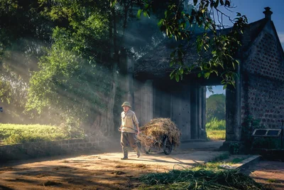 Découvrez la porte hangar agricole coulissante idéale en 2026 pour votre ferme